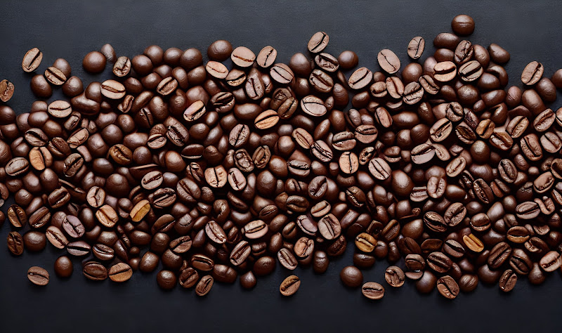 Monkey Culture Coffee